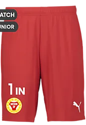 392286101101 PUMA T Goal Shorts Jr 392286101101 PUMA T Goal Shorts Jr Standard Small1x1
