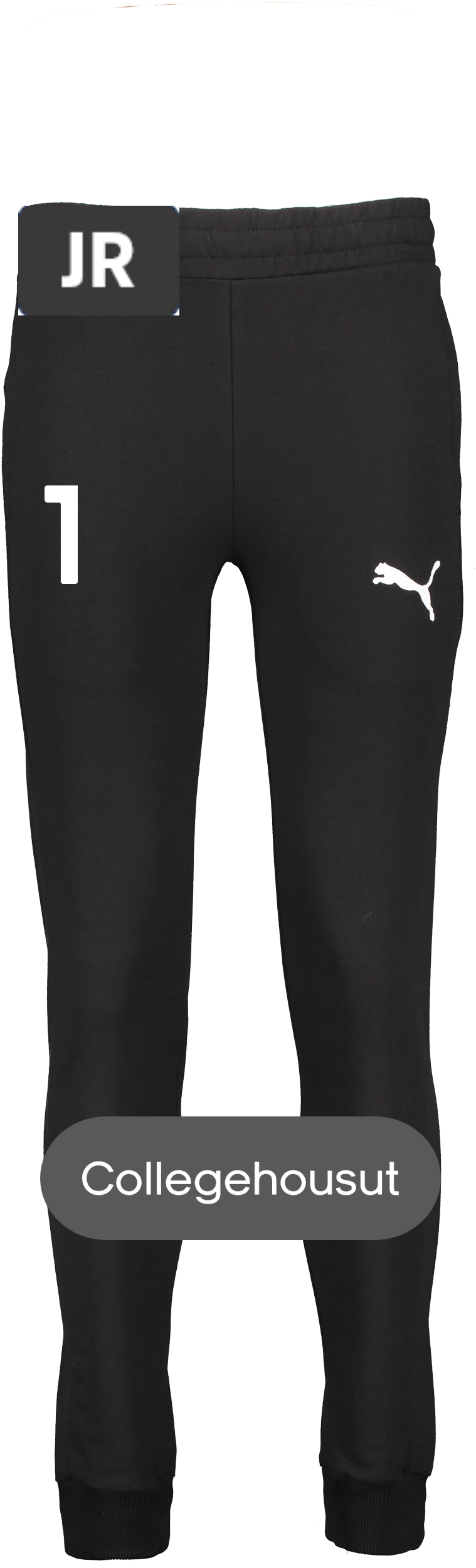 
PUMA, 
Teamgoal Casuals Pants Jr, 
Detail 1
