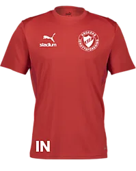 392096101101 PUMA T Goal Trg Jsy Jr 392096101101 PUMA T Goal Trg Jsy Jr Standard Small1x1