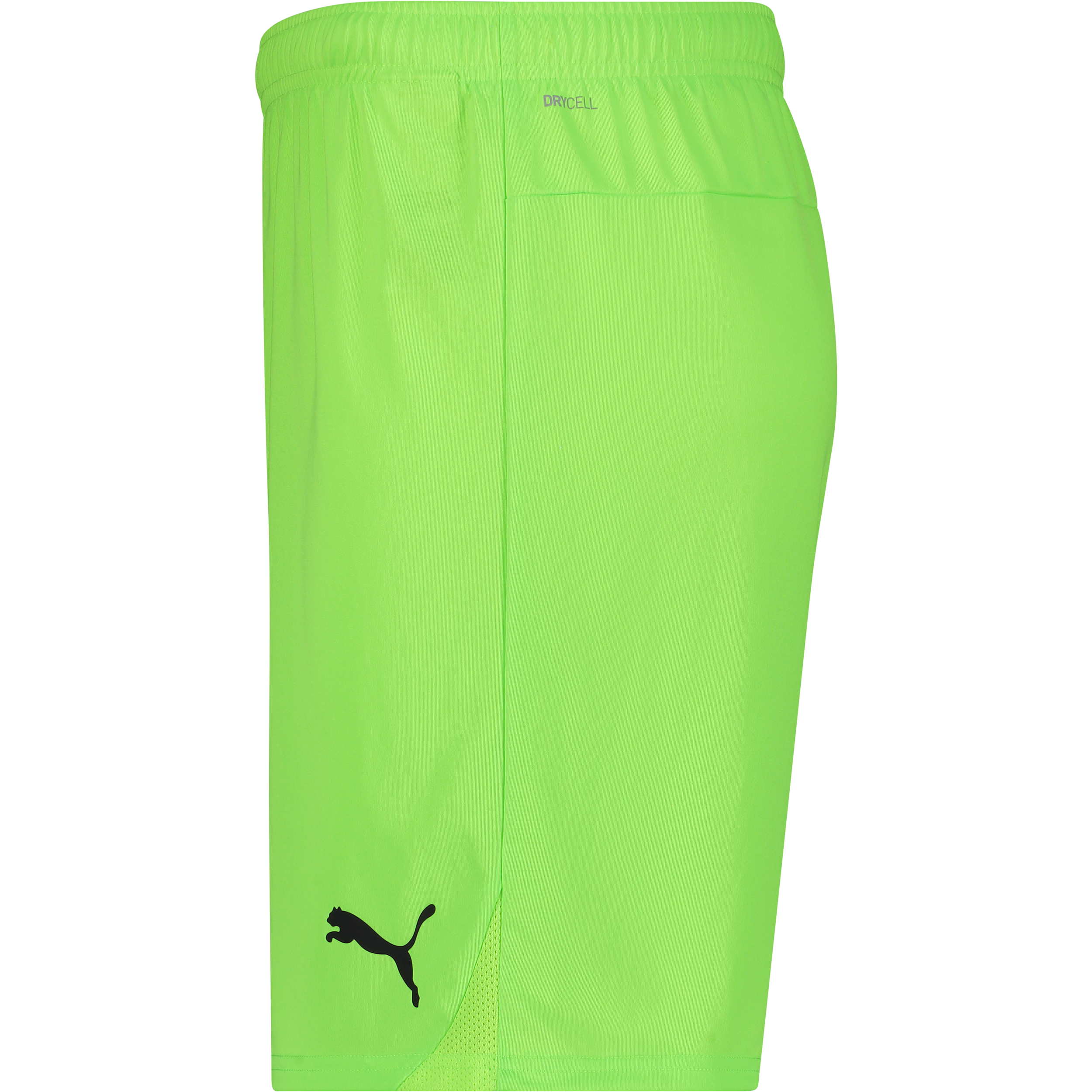PUMA, T Goal Shorts