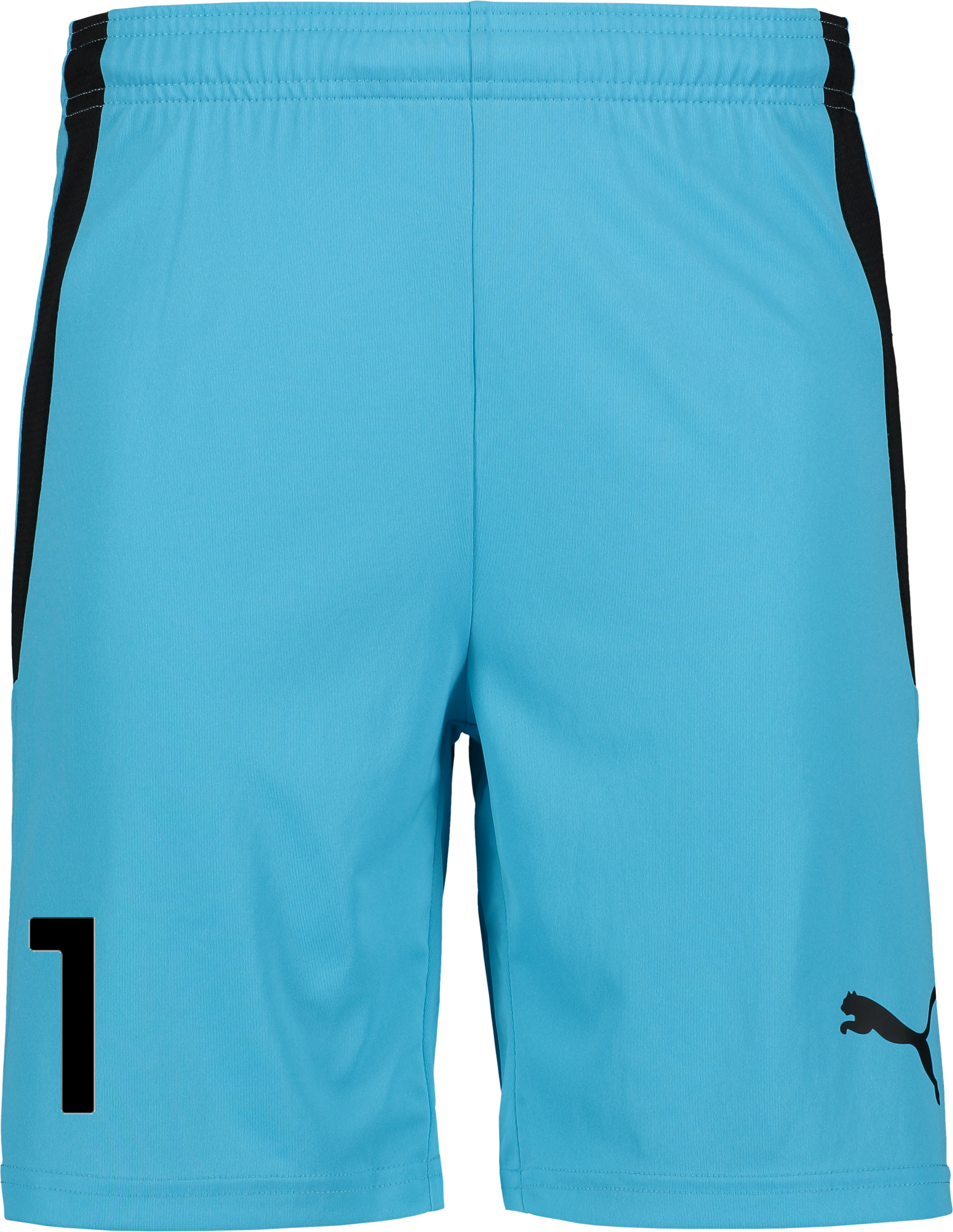 
PUMA, 
T Liga Shorts, 
Detail 1
