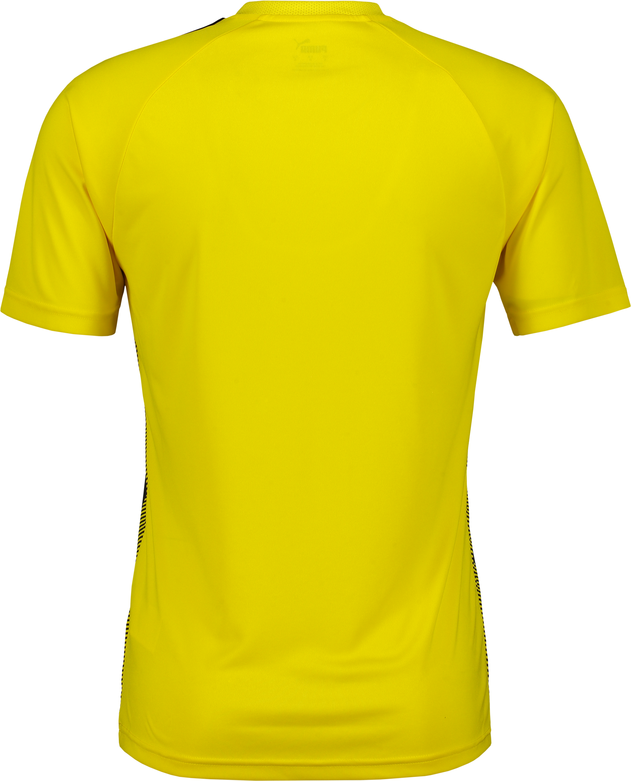 PUMA, T Liga Striped Jsy