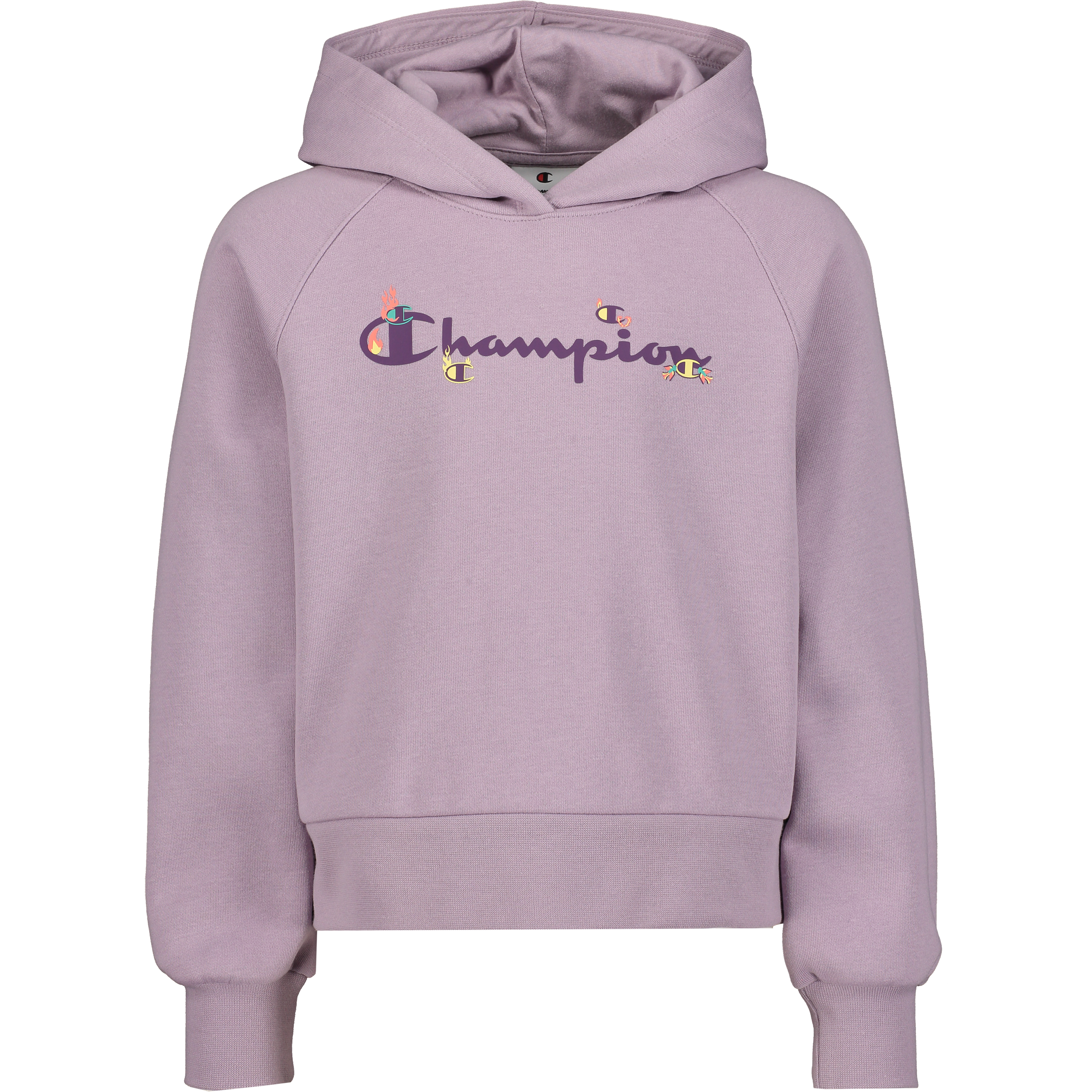 
CHAMPION, 
Hooded Sweatshirt G Jr, 
Detail 1

