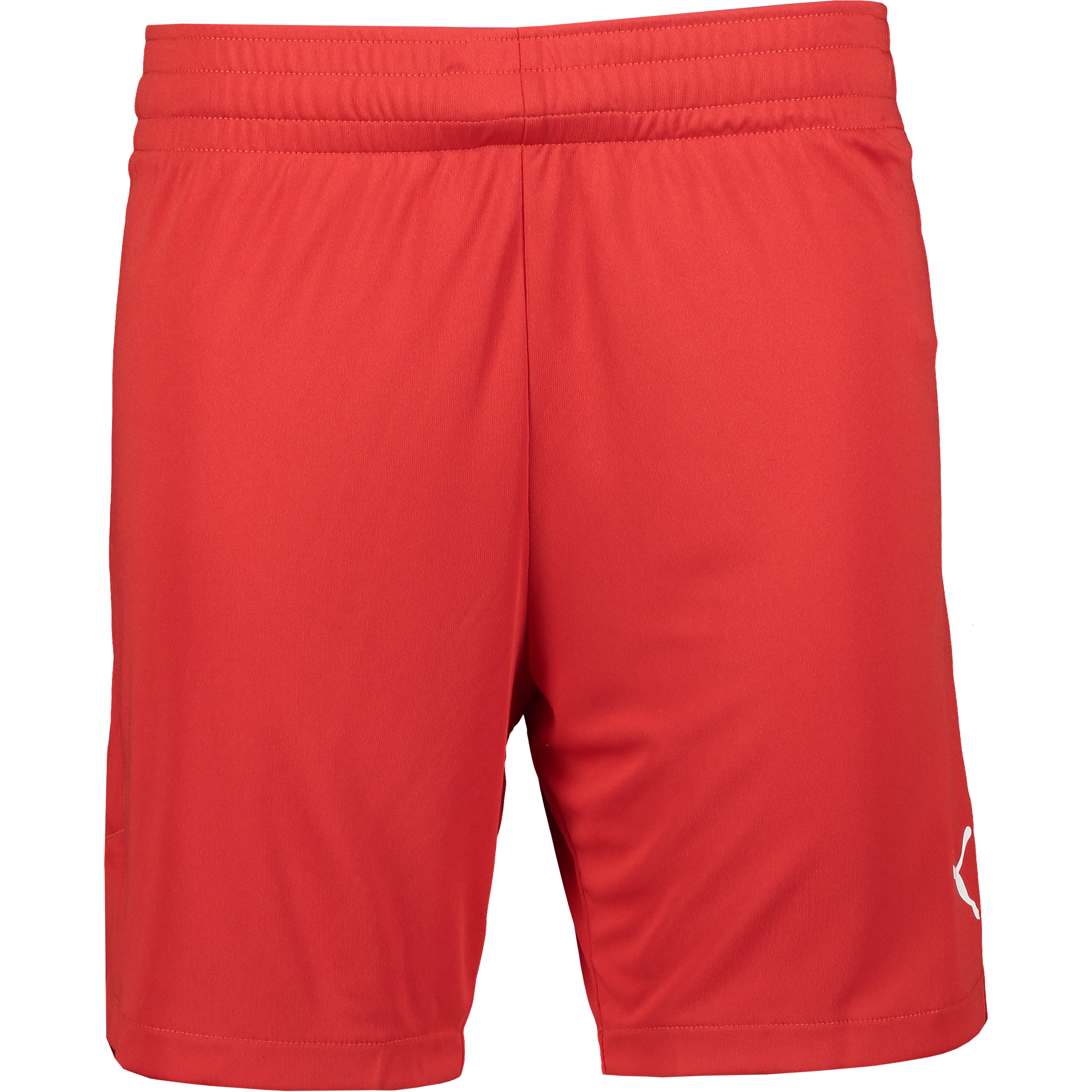 
PUMA, 
TEAMJAWS STARTER SHORTS JR, 
Detail 1
