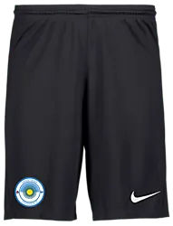 298936101101 NIKE Park III Short 298936101101 NIKE Park III Short Standard Small1x1
