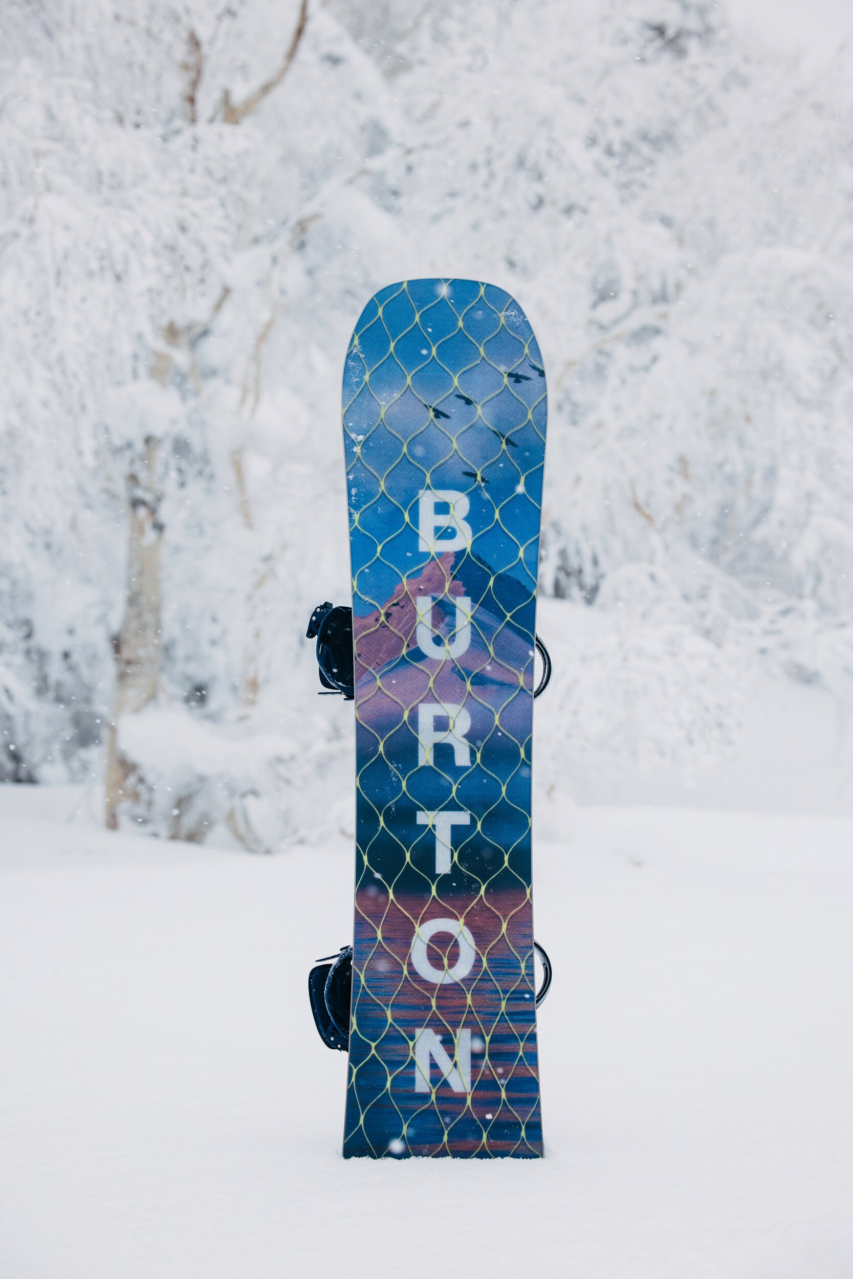 
BURTON, 
Ft Story Board, 
Detail 1
