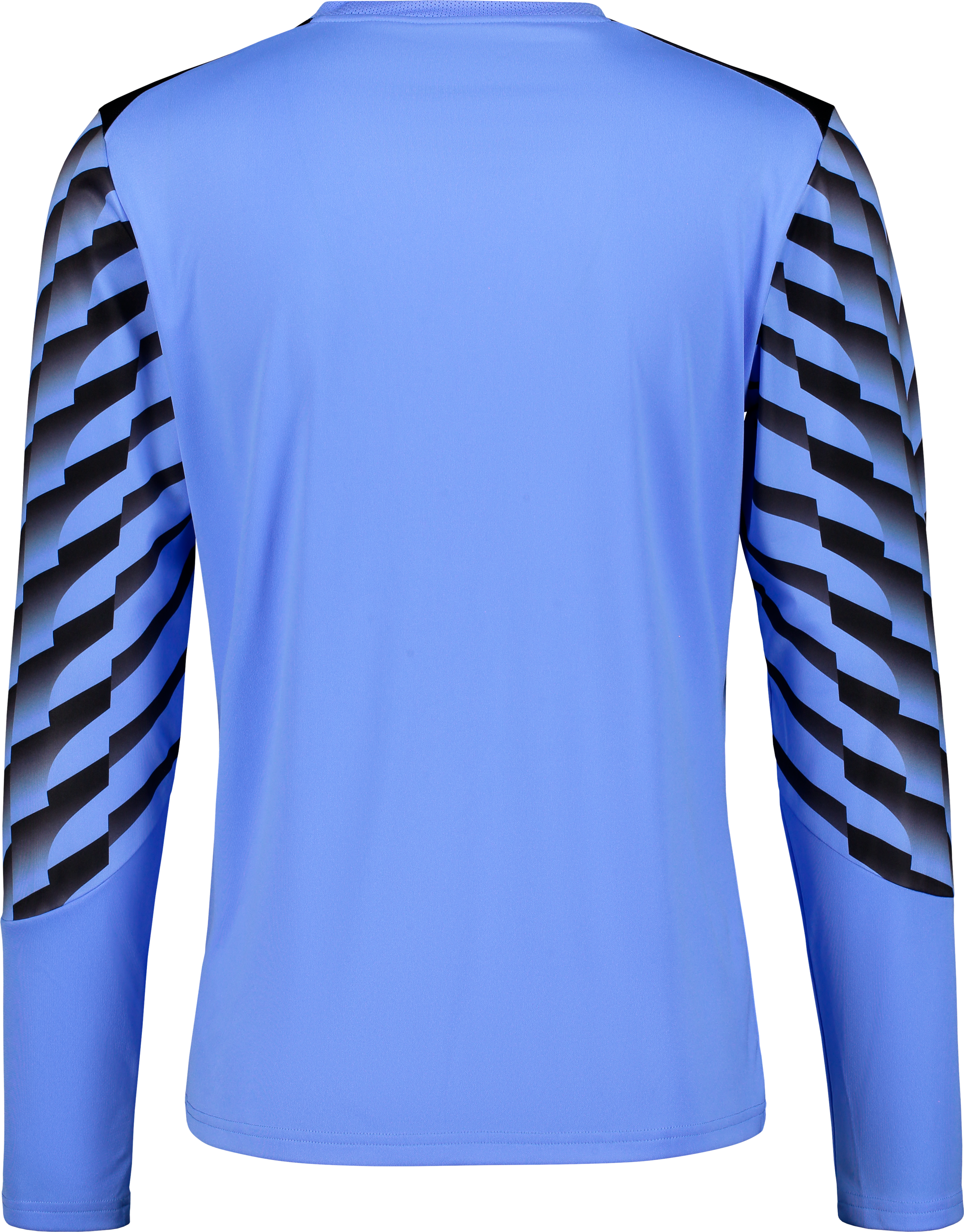 PUMA, TEAMLIGA26 GK JERSEY LS JR