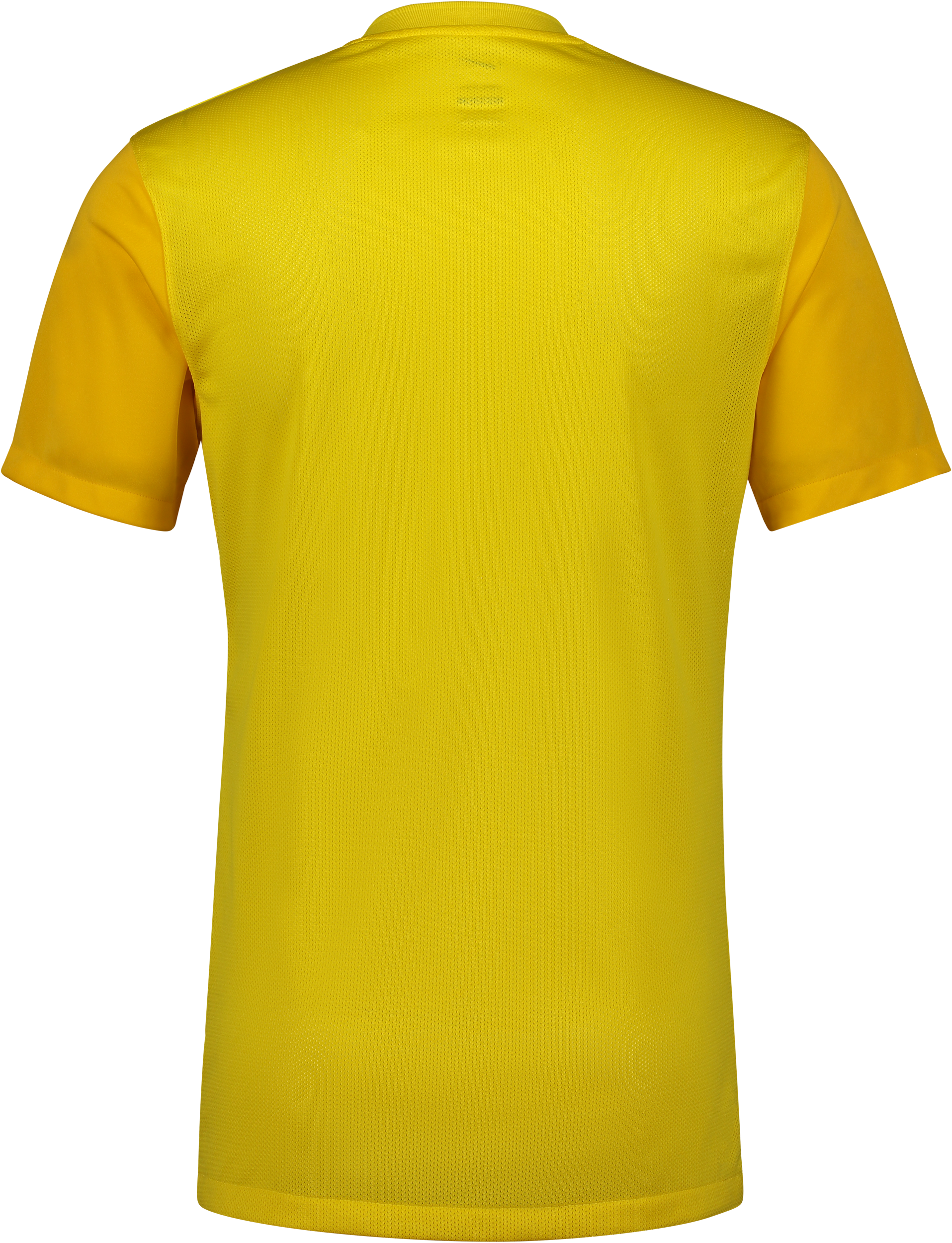 NIKE, Trophy V Jsy Jr