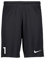 298936101101 NIKE Park III Short 298936101101 NIKE Park III Short Standard Small1x1