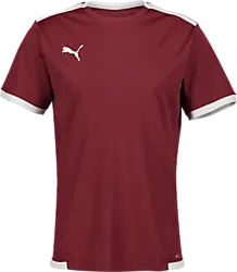 T Liga Ss Jsy Jr - Cordovan/White Standard Small1x1