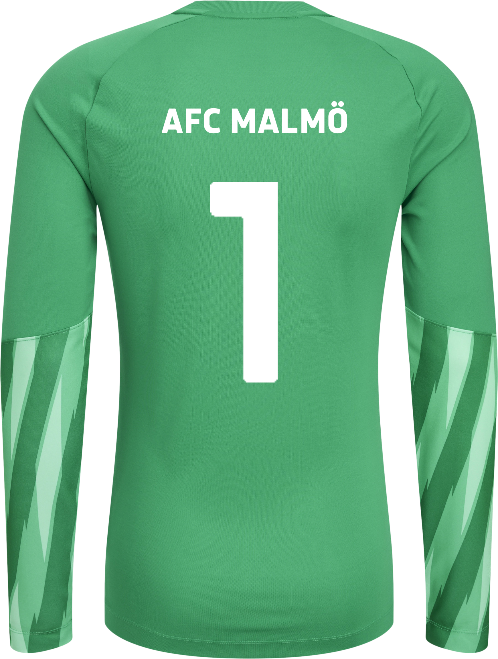 NIKE, PARK V GK LS JSY JR