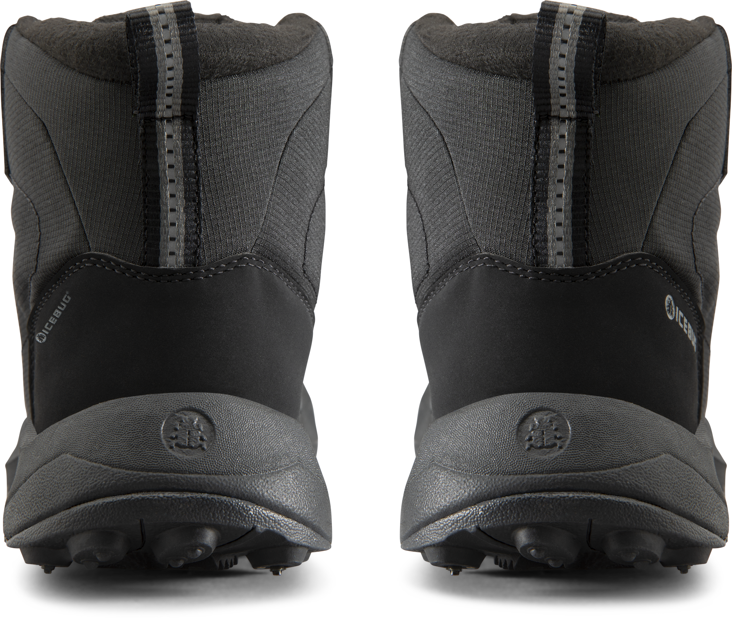 ICEBUG, W Nirak2 Bugrip