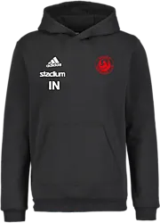 358916102101 ADIDAS Ent22 Hoody Jr 358916102101 ADIDAS Ent22 Hoody Jr Standard Small1x1