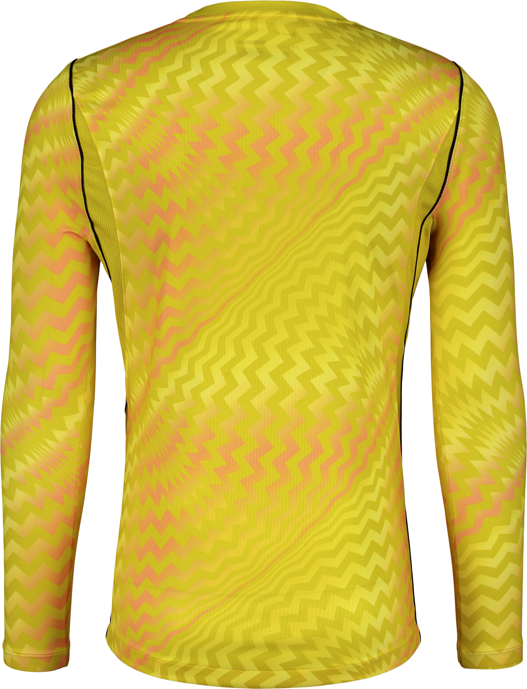 NIKE, GARDIEN VI GK LS JSY