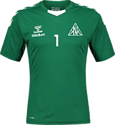 367940119101 HUMMEL Core Xk Poly Jsy Ss 367940119101 HUMMEL Core Xk Poly Jsy Ss Standard Small1x1
