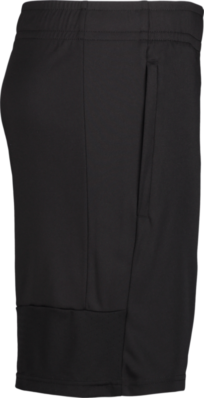 PUMA, TEAMLIGA TRAINING SHORTS