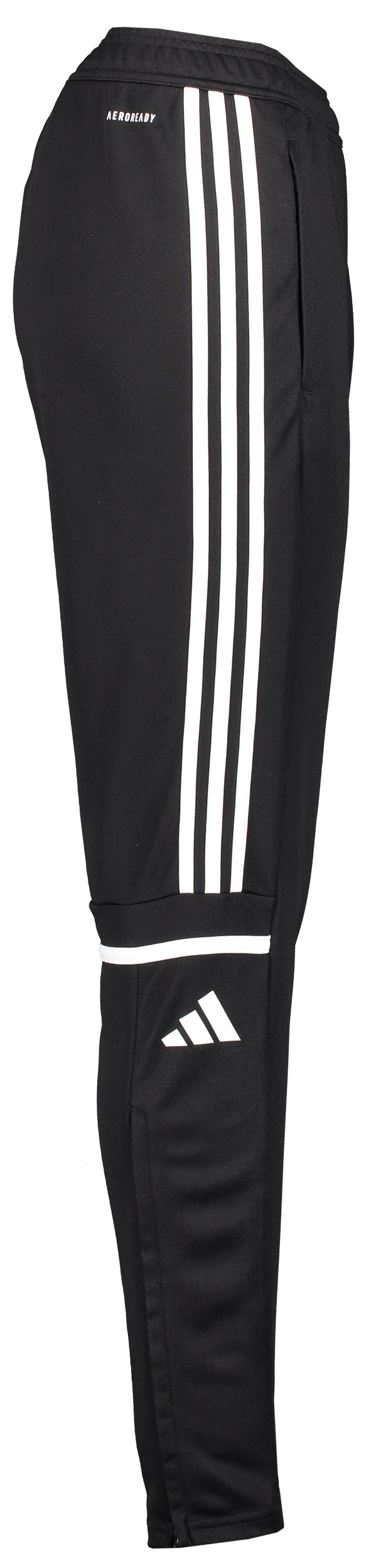 ADIDAS, Squad25 Tr Pnt W