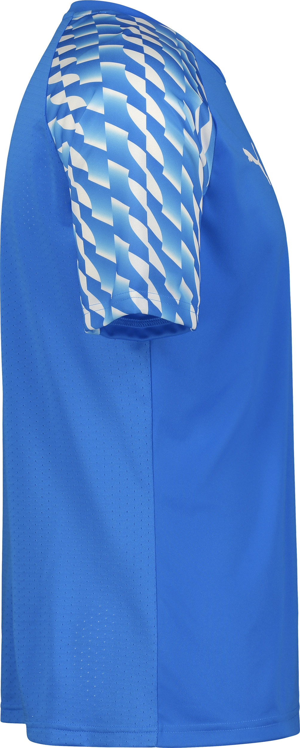 PUMA, TEAMLIGA26 JERSEY JR