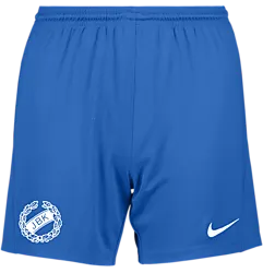 298938105101 NIKE Park III Short W 298938105101 NIKE Park III Short W Standard Small1x1