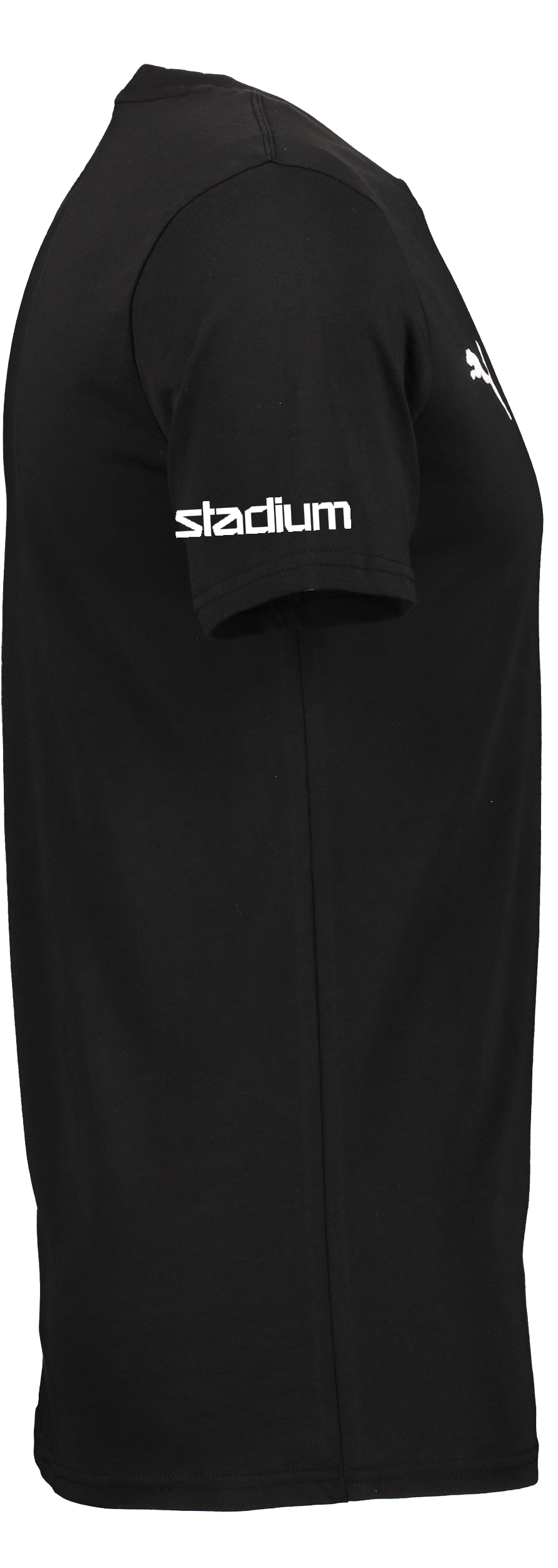 PUMA, T Goal Casuals Tee