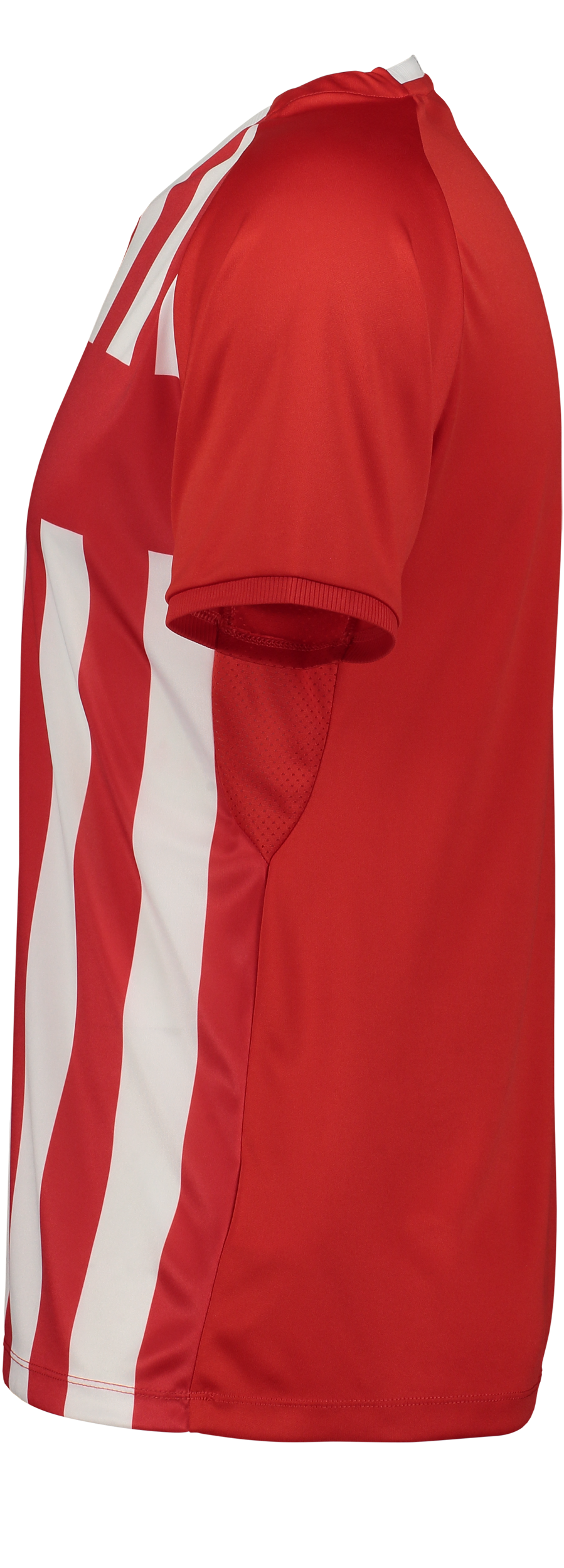 CRAFT, Progress 2.0 Str M