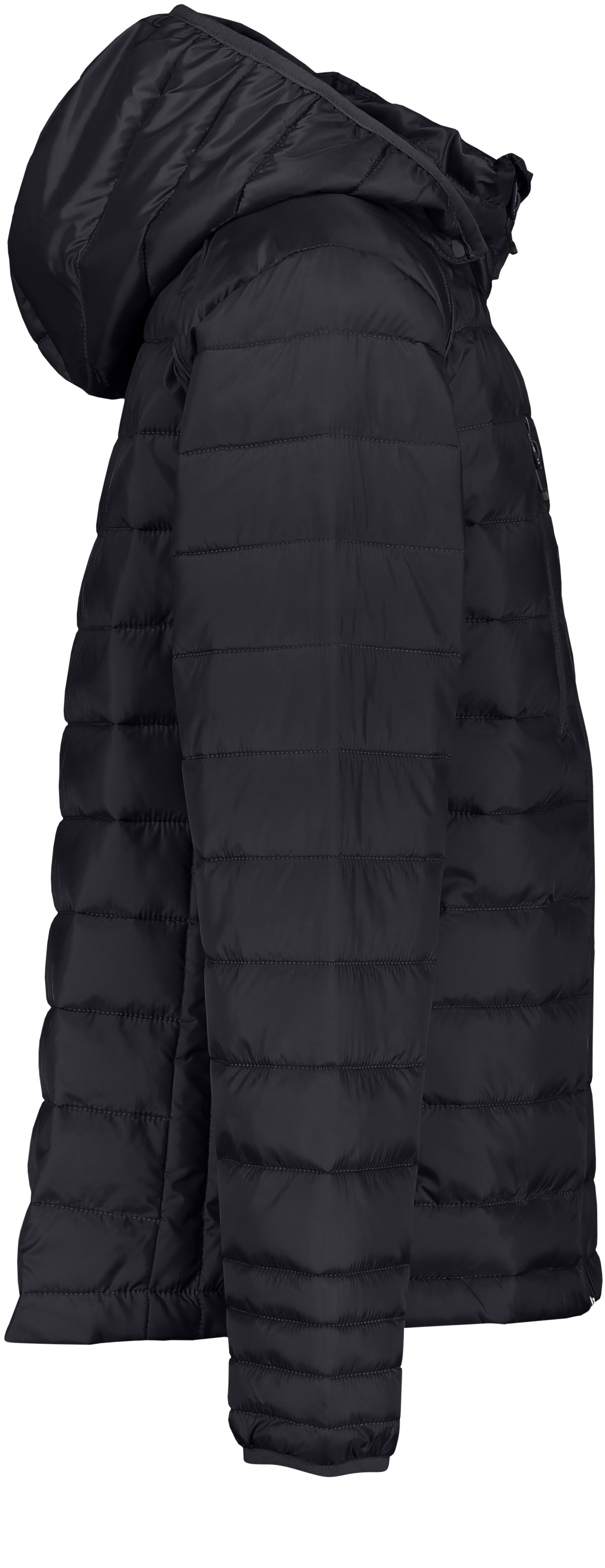 CLIQUE, Hudson Jkt Jr