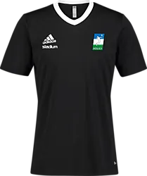 358914106102 ADIDAS Ent22 Jsy Tee 358914106102 ADIDAS Ent22 Jsy Tee Standard Small1x1