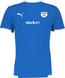 358885102101 PUMA T Liga Ss Jsy Jr 358885102101 PUMA T Liga Ss Jsy Jr Standard Small1x1