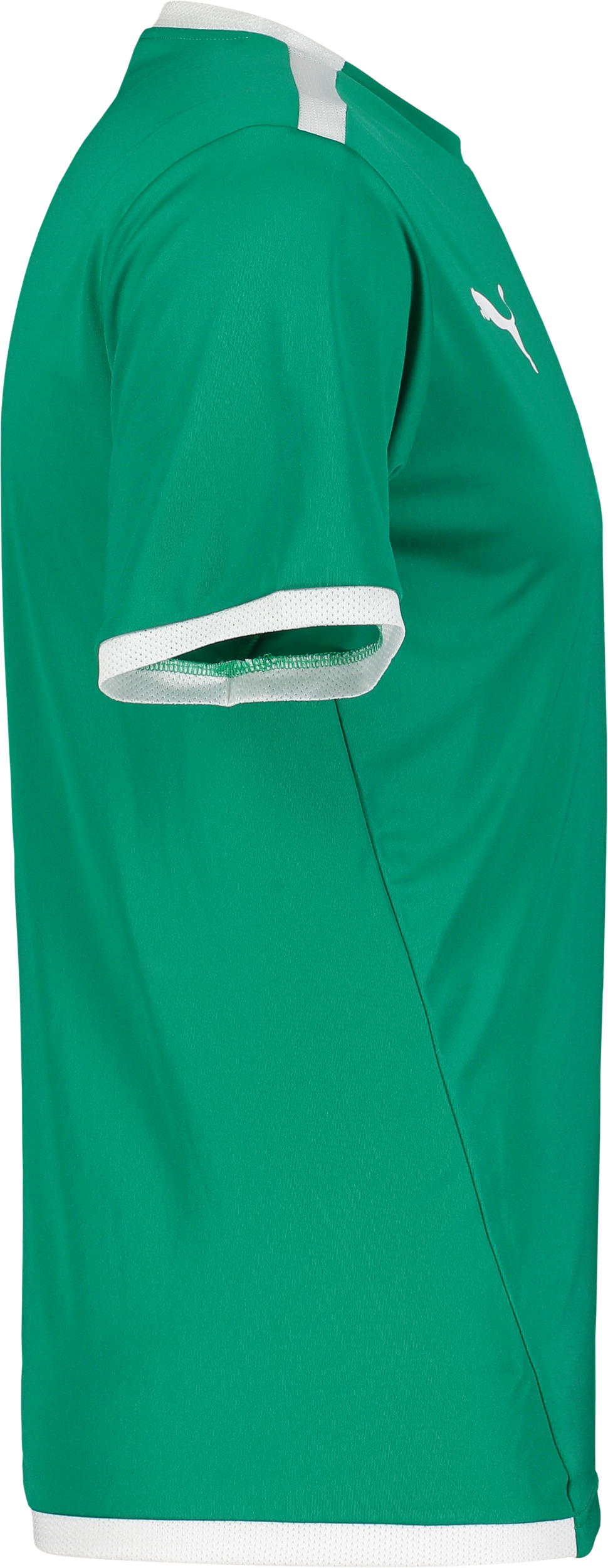 PUMA, T Liga Ss Jsy Jr