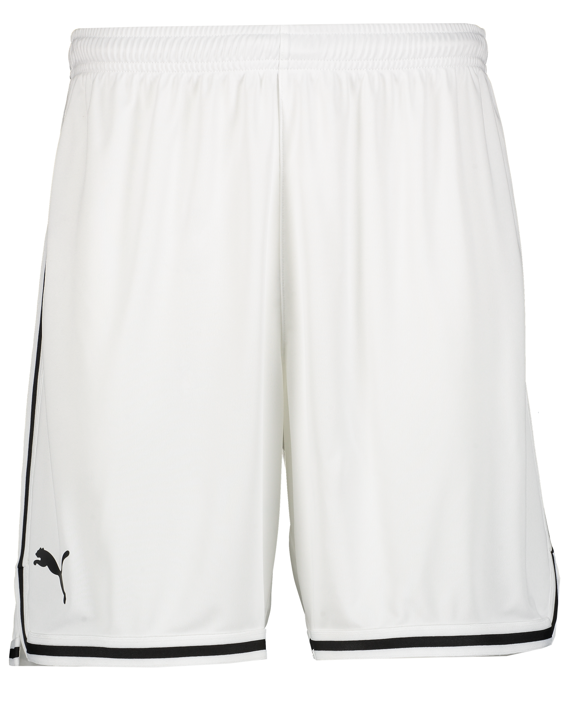 
PUMA, 
Hoops Team Junior Game Short, 
Detail 1
