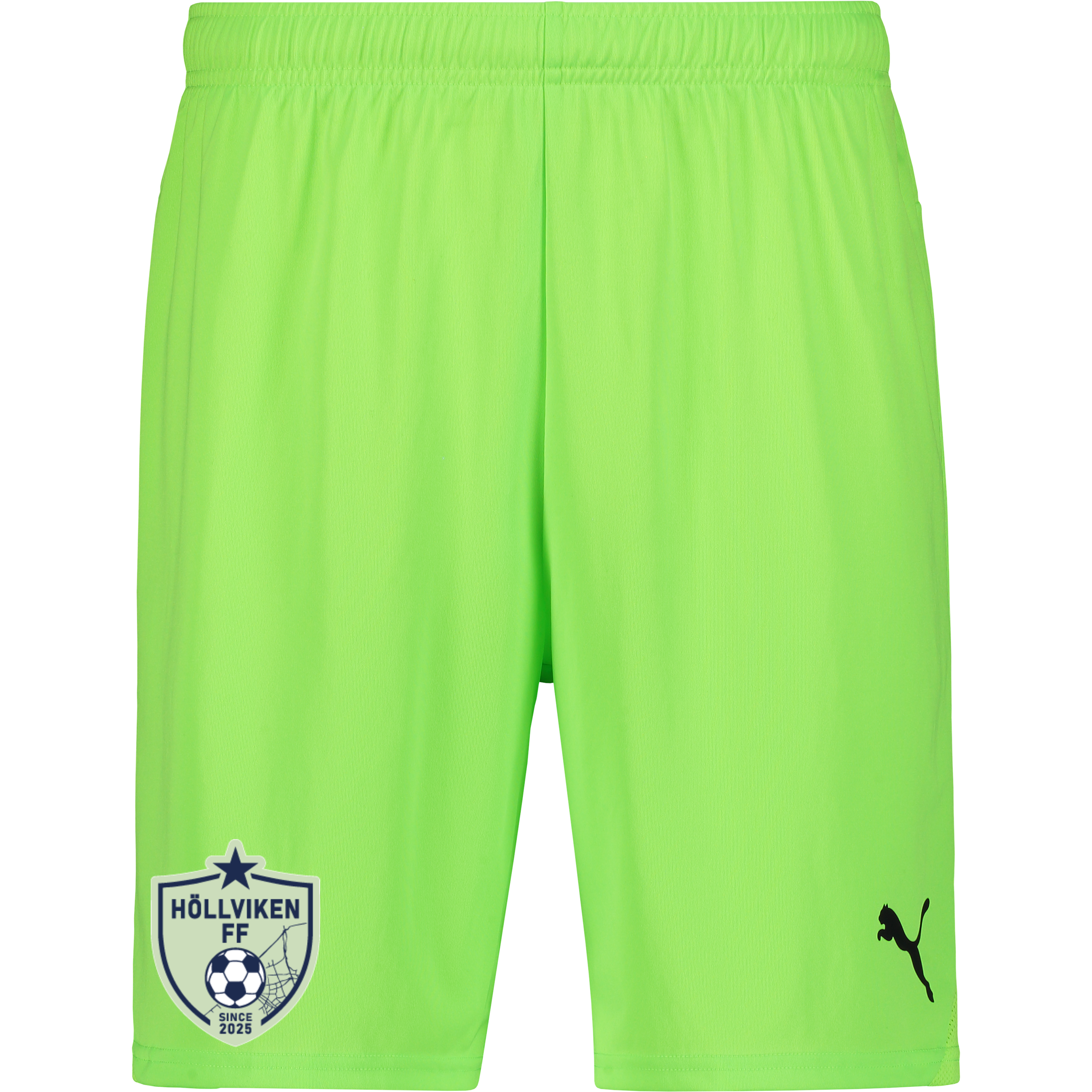 
PUMA, 
T Goal Shorts Jr, 
Detail 1
