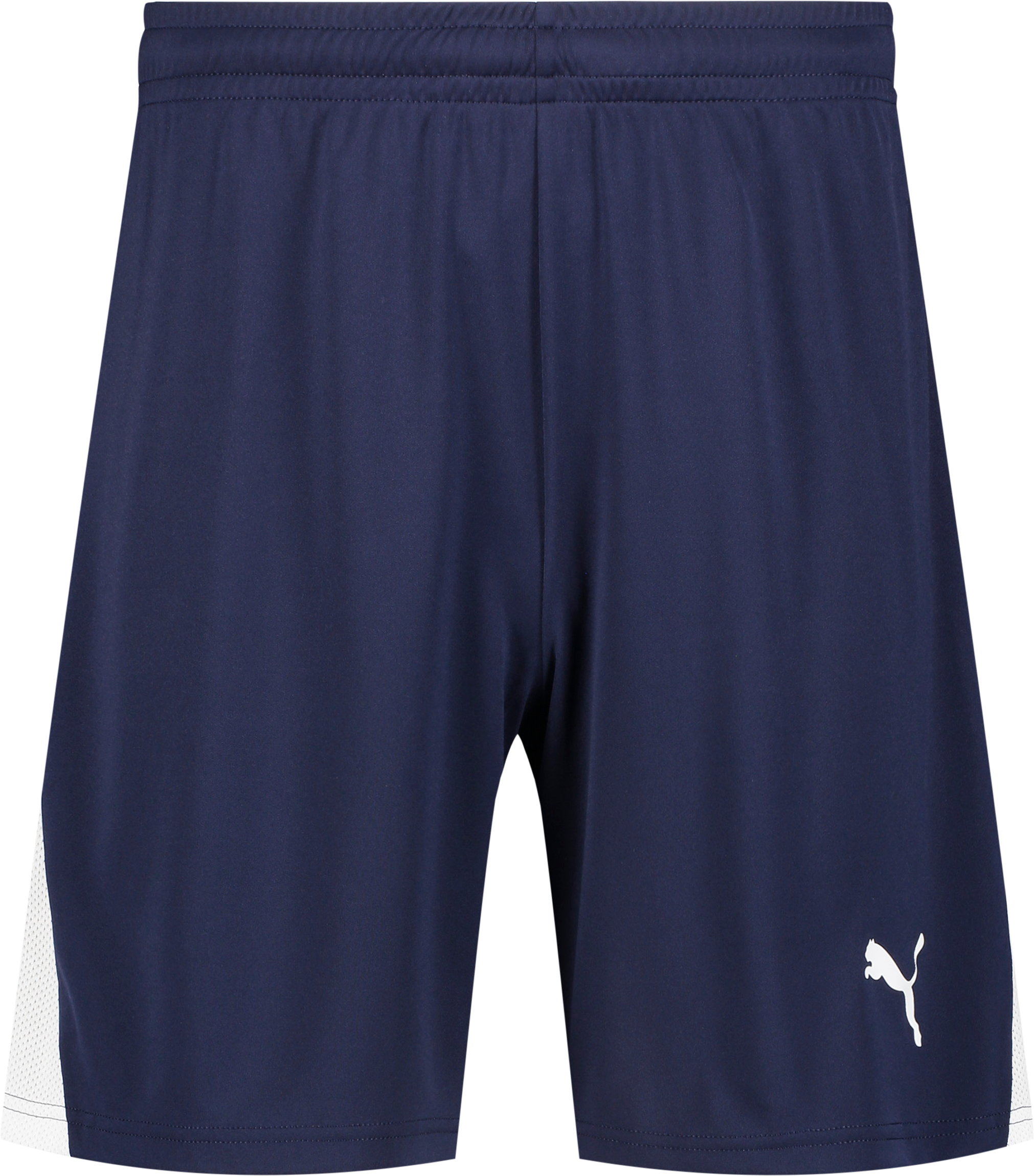 
PUMA, 
TEAMLIGA26 SHORTS JR, 
Detail 1
