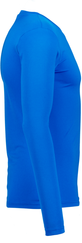 PUMA, T Goal Bl Ls Jsy