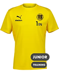 392096107101 PUMA T Goal Trg Jsy Jr 392096107101 PUMA T Goal Trg Jsy Jr Standard Small1x1