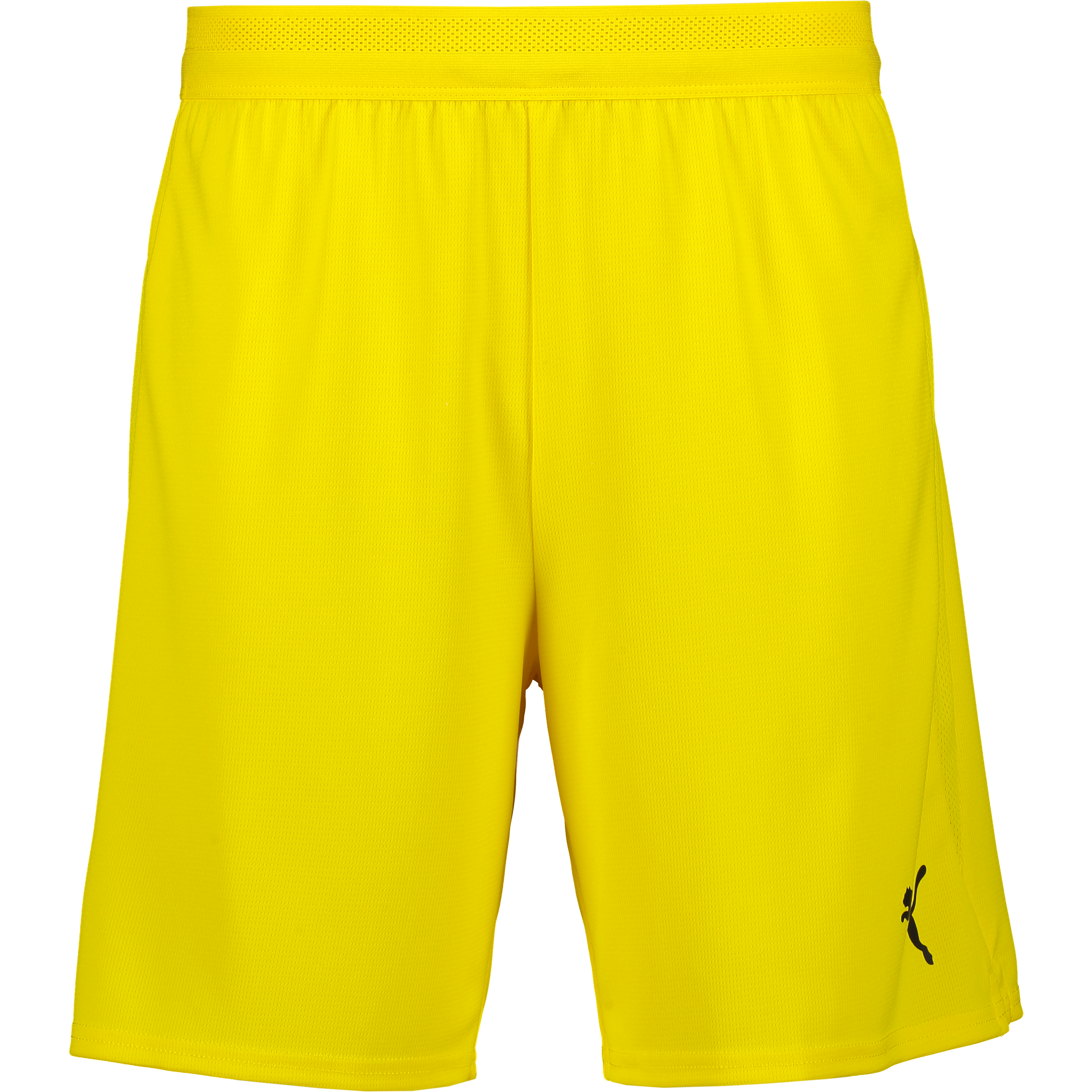 
PUMA, 
Teamcup Shorts, 
Detail 1
