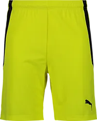 361522107101 PUMA T Liga Shorts 361522107101 PUMA T Liga Shorts Standard Small1x1