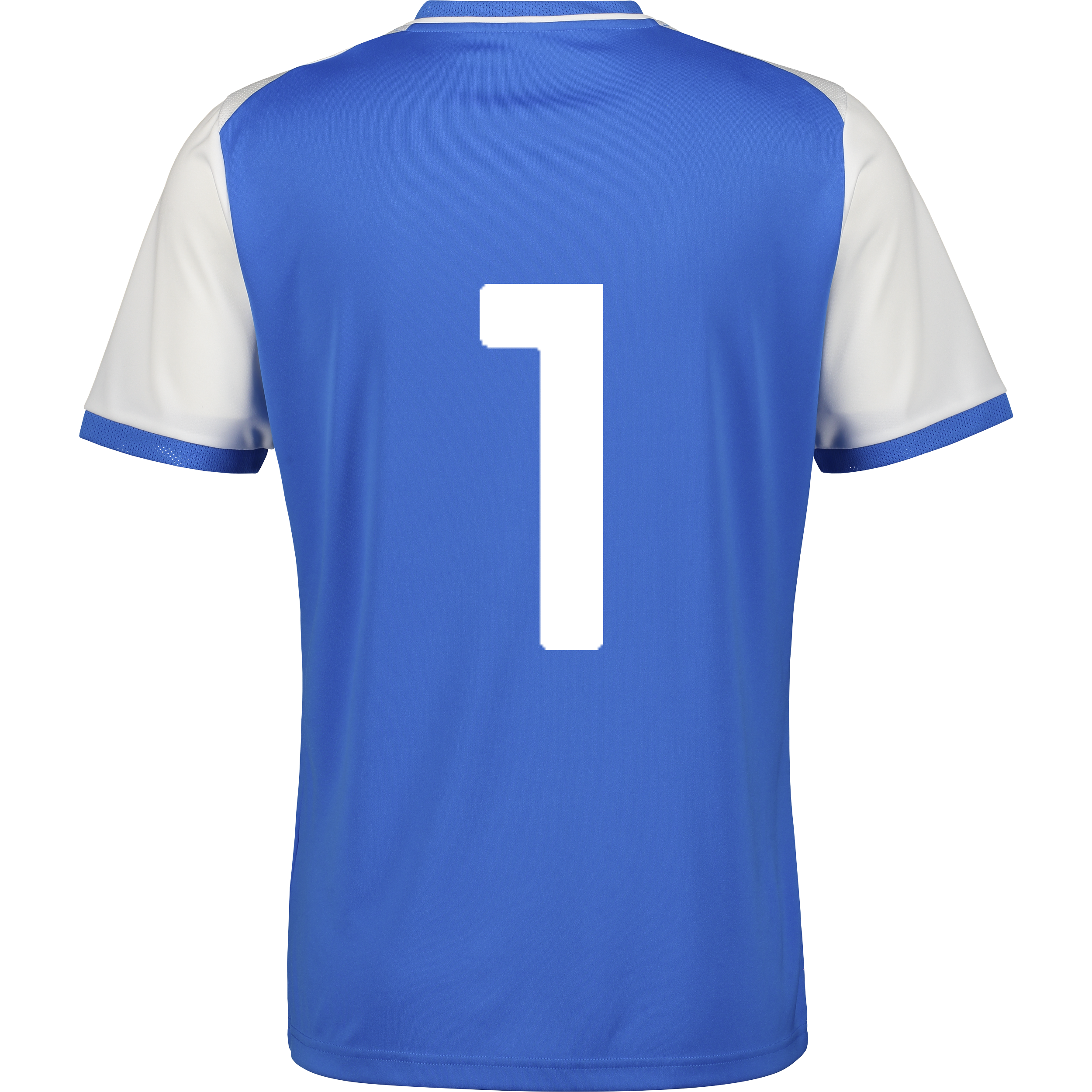 PUMA, TEAMLIGA26 MATCHDAY JERSEY