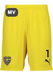 392286107101 PUMA T Goal Shorts Jr 392286107101 PUMA T Goal Shorts Jr Standard Small1x1