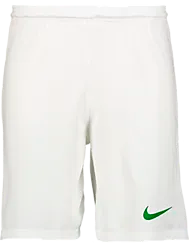 298936116101 NIKE Park III Short 298936116101 NIKE Park III Short Standard Small1x1