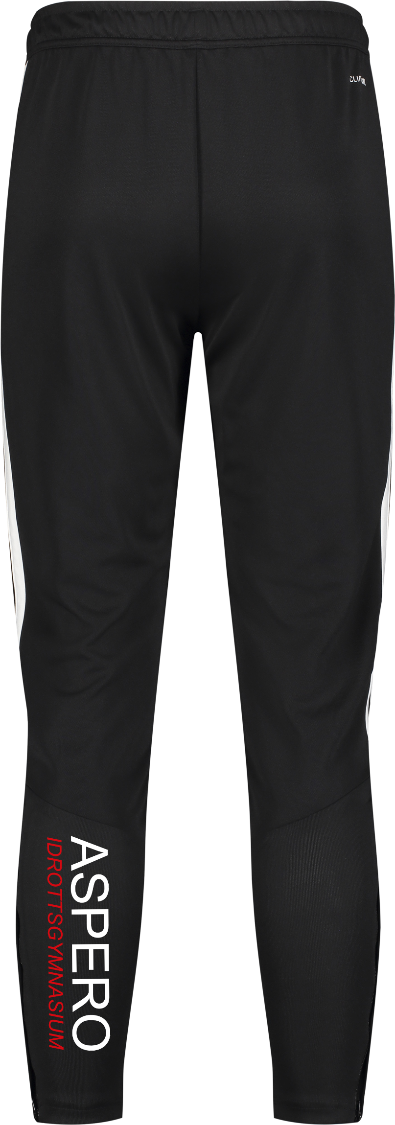 ADIDAS, TIRO26 L PNT