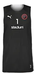 387569101101 PUMA Hoops Team Reverse Practice Jersey 387569101101 PUMA Hoops Team Reverse Practice Jersey Standard Small1x1