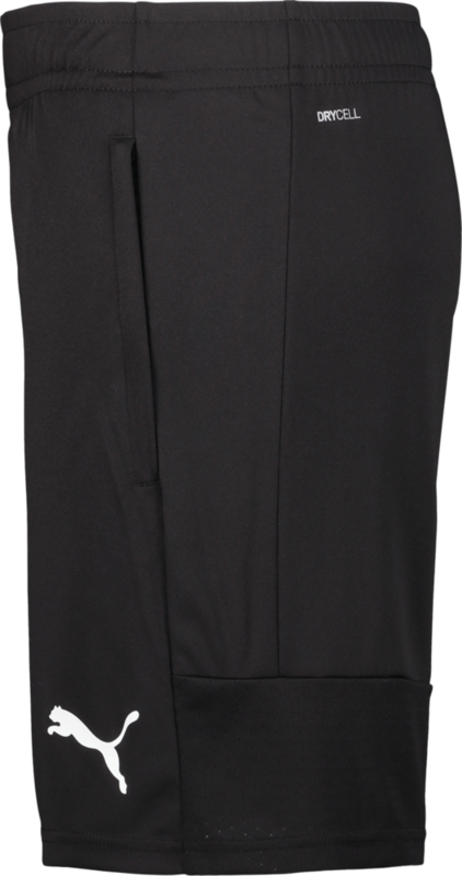 PUMA, TEAMLIGA TRAINING SHORTS