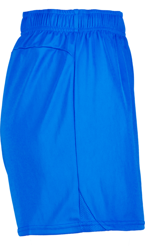 PUMA, T Goal Shorts Wmns