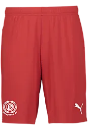 391942101101 PUMA T Goal Shorts 391942101101 PUMA T Goal Shorts Standard Small1x1