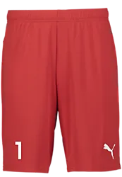 391942101101 PUMA T Goal Shorts 391942101101 PUMA T Goal Shorts Standard Small1x1