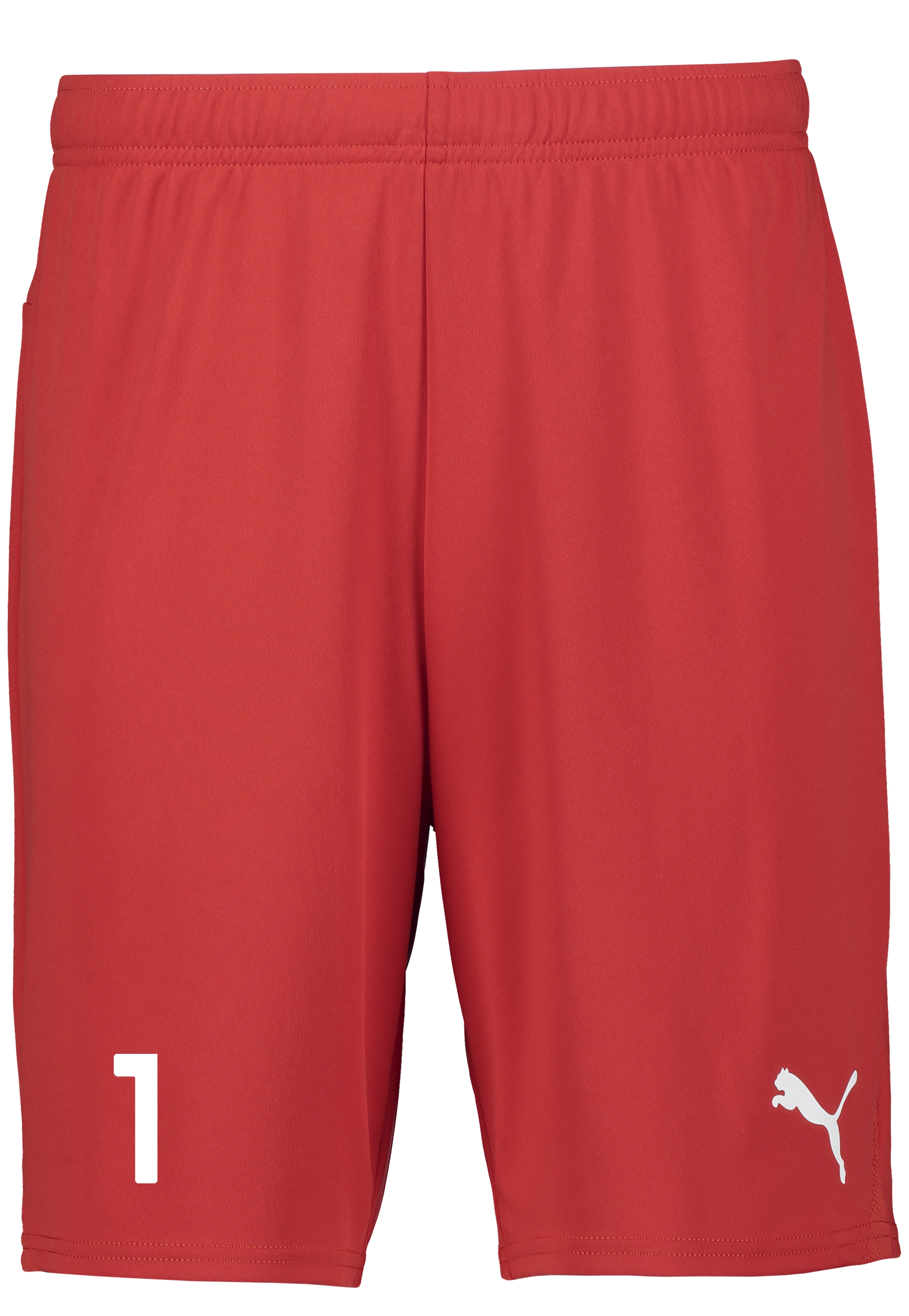 
PUMA, 
T Goal Shorts, 
Detail 1
