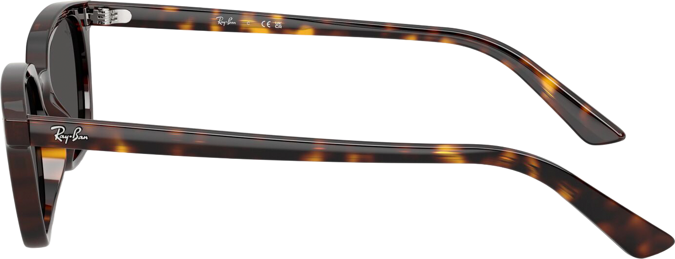 RAY-BAN, ZAYA