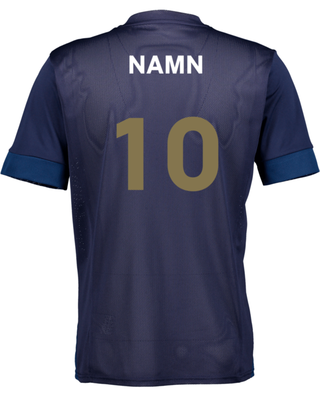 PUMA, T Goal Matchday Jsy