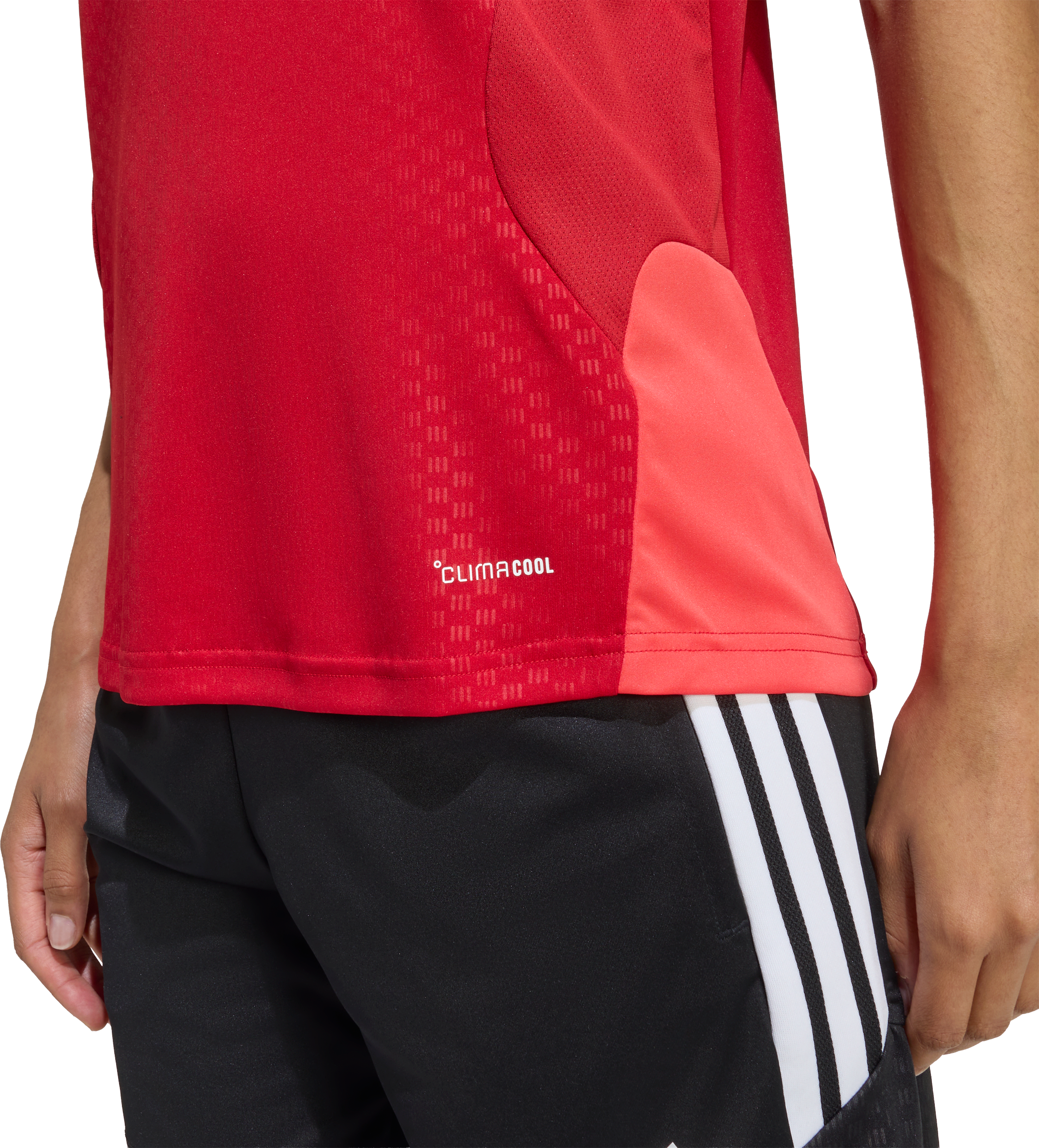ADIDAS, TIRO26 C JSY W