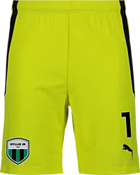 361522107101 PUMA T Liga Shorts 361522107101 PUMA T Liga Shorts Standard Small1x1